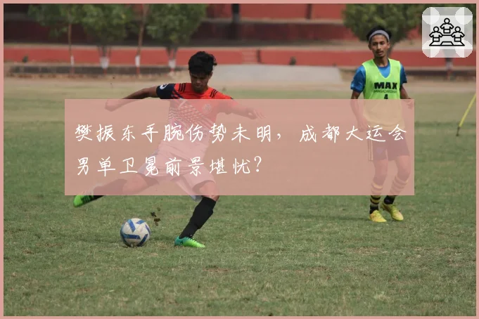 樊振东手腕伤势未明，成都大运会男单卫冕前景堪忧？